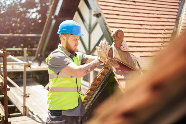 Best Roof Gutter Cleaning  in Dallas, GA